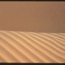 Imperial Sand Dunes (2)