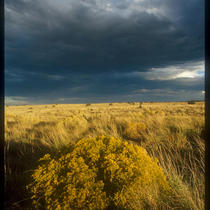 High Desert Flagstaff Arizona