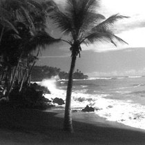 Black Sand Beach Big Island Hawaii
