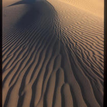 Imperial Sand Dunes