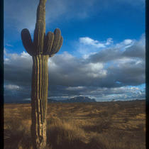 Hwy 95 near Quartzite Arizona